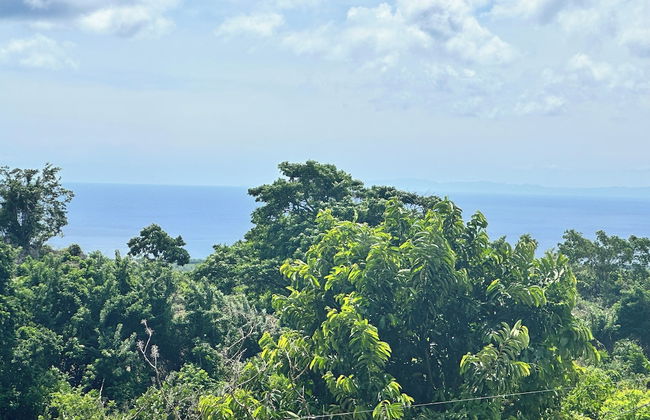 Loma Alta - Photo 14