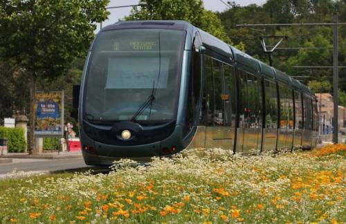 Le Repère de B&C - Foto 14