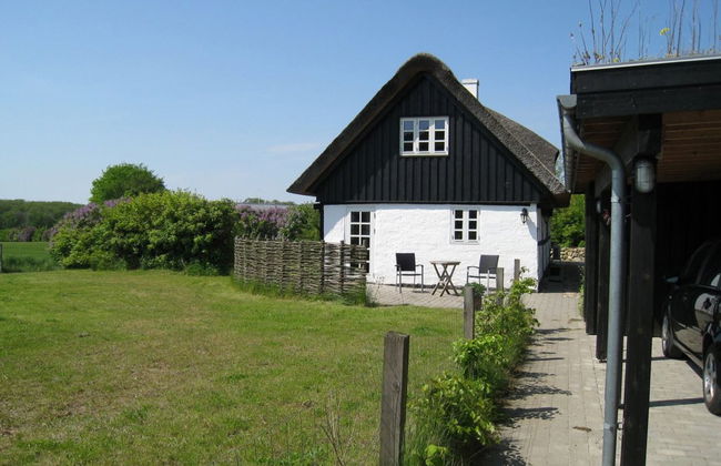 "Eva" - 1.5km to the fjord - Foto 14