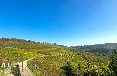 A casa dei Nonni - Foto 34