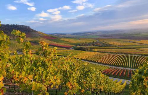 GLÜCK HOMES IPPESHEIM - Foto 37