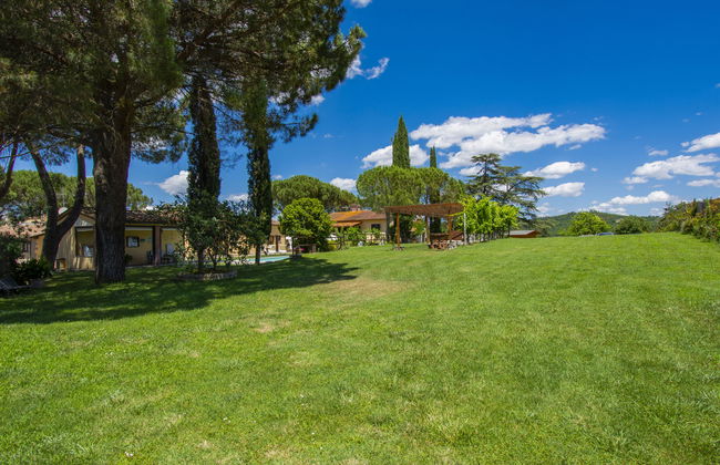 Cedri Alti - Foto 28