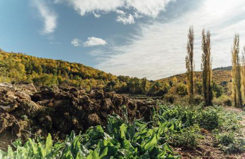 Alojamiento Turístico La alegría de la huerta - Foto 36