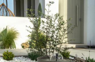 Apademia Skyros Luxury Residences - Photo 19