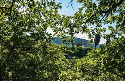 Castellina di Bocco - Foto 11