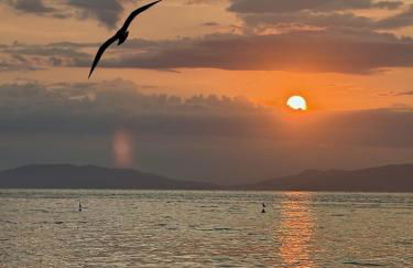 Vanna Sunset - Foto 25