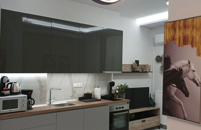 Atelier Deluxe Apt Must - Foto 9