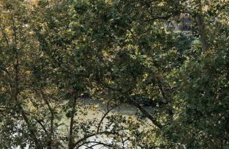 On the Tiber- Luxury house - Photo 16