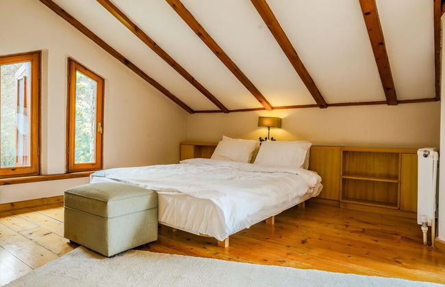 Spacious Private Villa With Pool in Sile - Foto 23