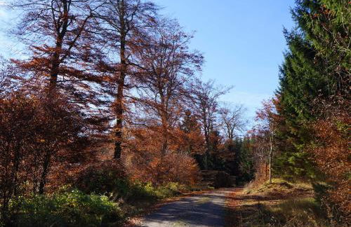 Ferienhaus am Wald - Einzelstandort mit Wallbox - Foto 20