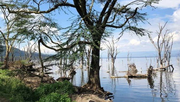 Safari de 6 días por Masái Mara, Amboseli y lago Naivasha - Foto 4
