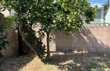 Heartwell Park Beauty Long Beach - Foto 43