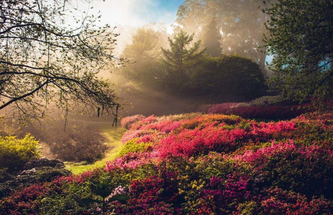 Puffing Billy & Healesville Sanctuary Day Trip - Photo 3