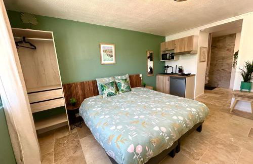 Les Appartements du Mas - Studio Amazonite - Foto 6