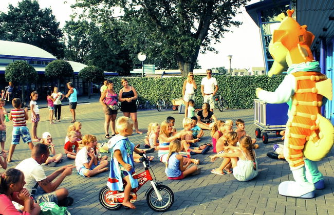 Family Friendly Villa near Center of Kortgene - Photo 15