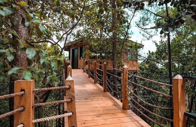 The Grand Forest Jarabacoa - Photo 2