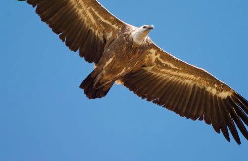 Gite de charme 3 étoiles - Foto 14