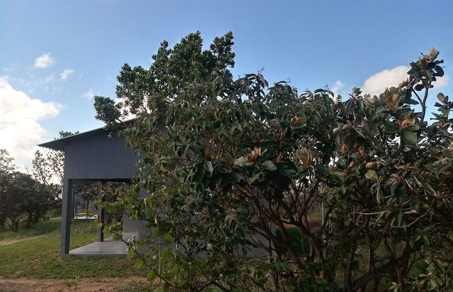 Chalés Recanto da Baleia - Photo 47