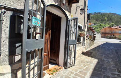 Il girasole - Foto 35