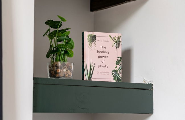 Prime Location Top Rated Clean Parking Free - Foto 79