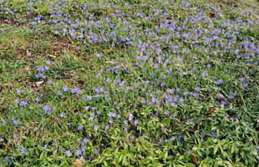 Ferienwohnung auf dem Bückle - Foto 21