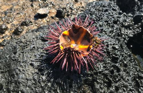 Le case di Carlotta & Giorgia - Foto 70