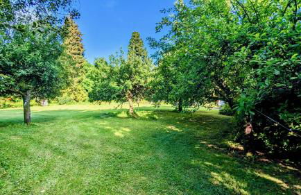 Shepherds Hut on tranquil Powis House Estate - Foto 16