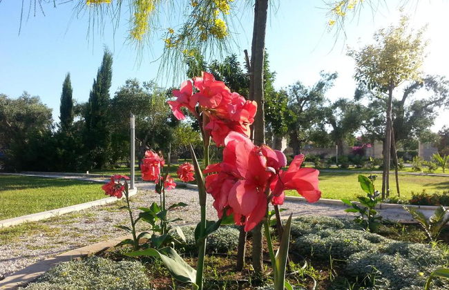 Willaria Country House - Foto 7