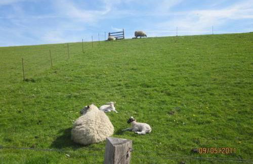 Landhaus op de Warft - Foto 12