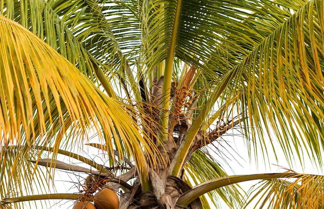 Suite da Vila - Praia do Espelho - Photo 52