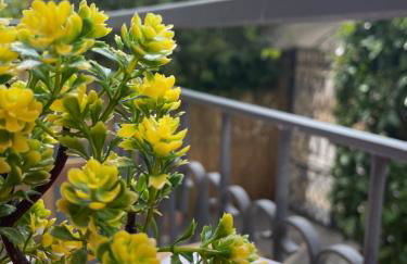 Vesuvius garden - Photo 21