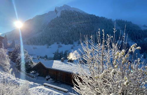 Appartement cosy au pied des pistes - Foto 5