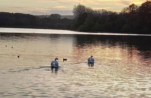 Cosy Flat in a Pretty Town. - Photo 10