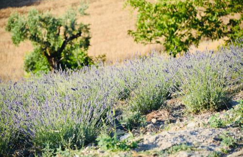 Il casale dei nonni - Foto 24