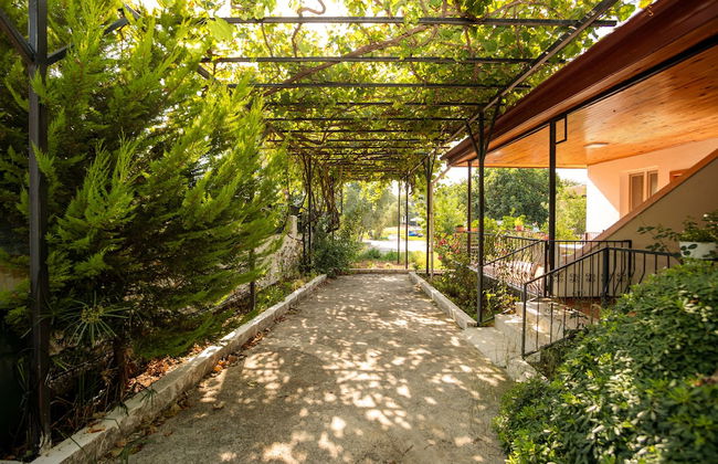 Lumos Homes - Photo 17