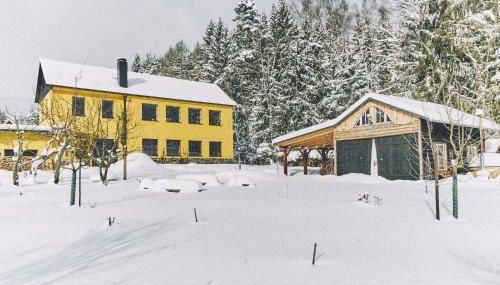 Blickinsfreie - Cabin - Foto 3, Garden