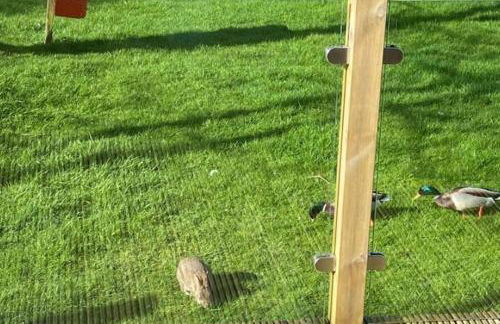 Lakeland Lodge- 3Bed-2 Bath- Private Patio - Foto 27