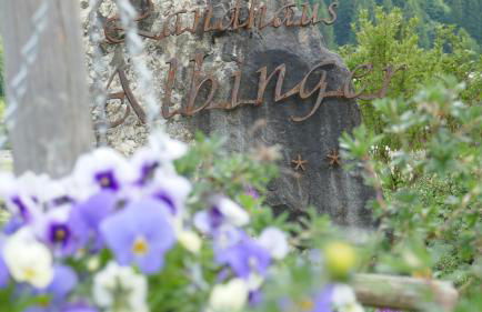 Albingers Landhaus - Photo 31