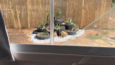 Barco Varado - Foto 5