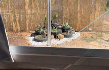 Barco Varado - Foto 5