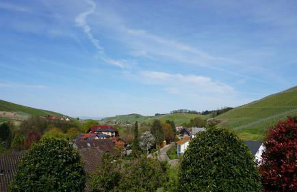 Ferienwohnung Anna Durbach - Foto 5