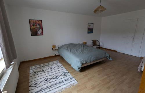 Appartement spacieux 2 chambres 100m2 centre petite ville - Photo 5