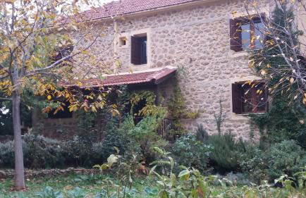 Εν Αρχή - En Arhi - Photo 49