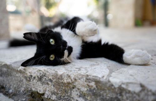 Casa Tereza - Foto 51