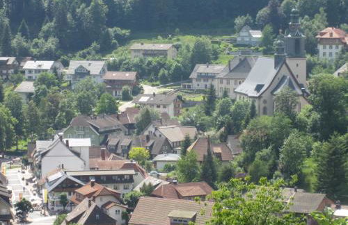 Ferienwohnung Todtmoos - Foto 23