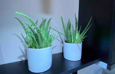 Dream home Serres romantic living - Foto 6