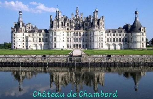 Perroquet & Koala 2 logements 10min du zoo de Beauval et proche château - Foto 55