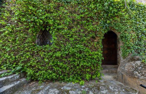 Isla Del Burguillo - Photo 27