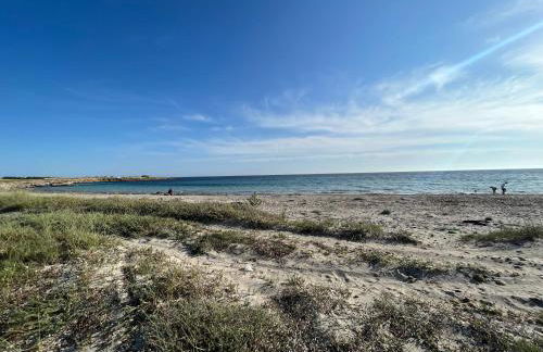 Nespolilla - Foto 20