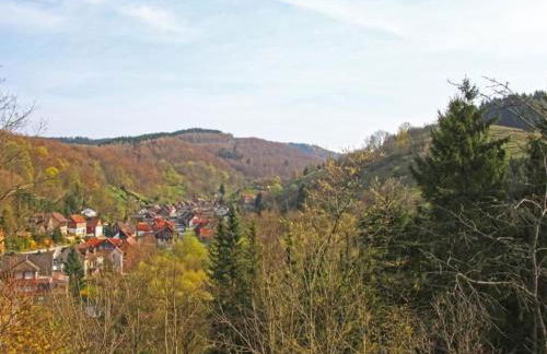 Apartment Gemütliche Ferienwohnung in Lerbach by Interhome - Foto 15